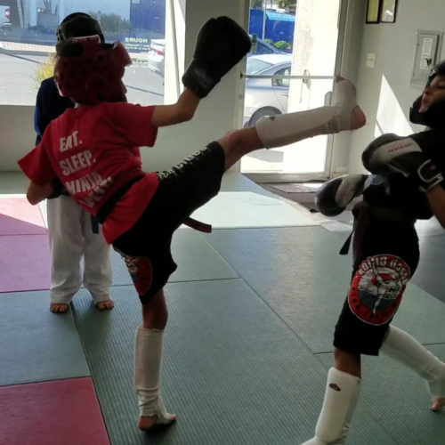 NAK Martial Arts trains character development